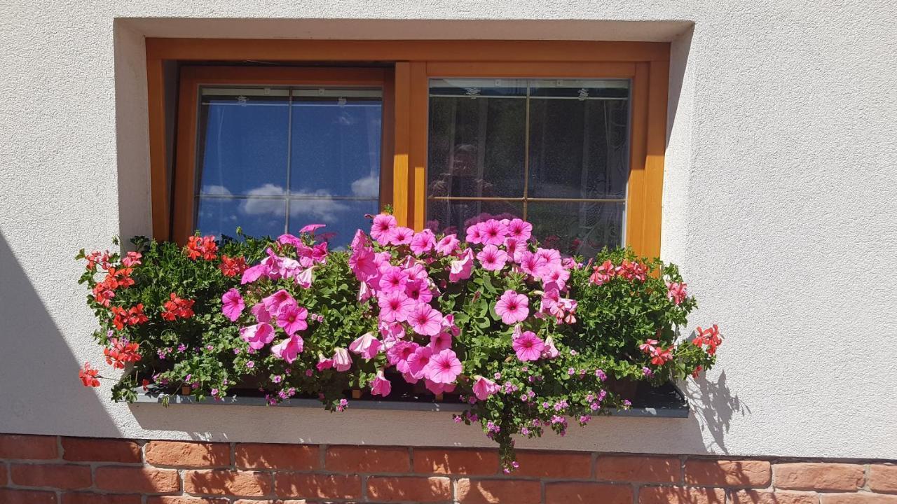 Privat Nika Zavazna Poruba Exterior foto