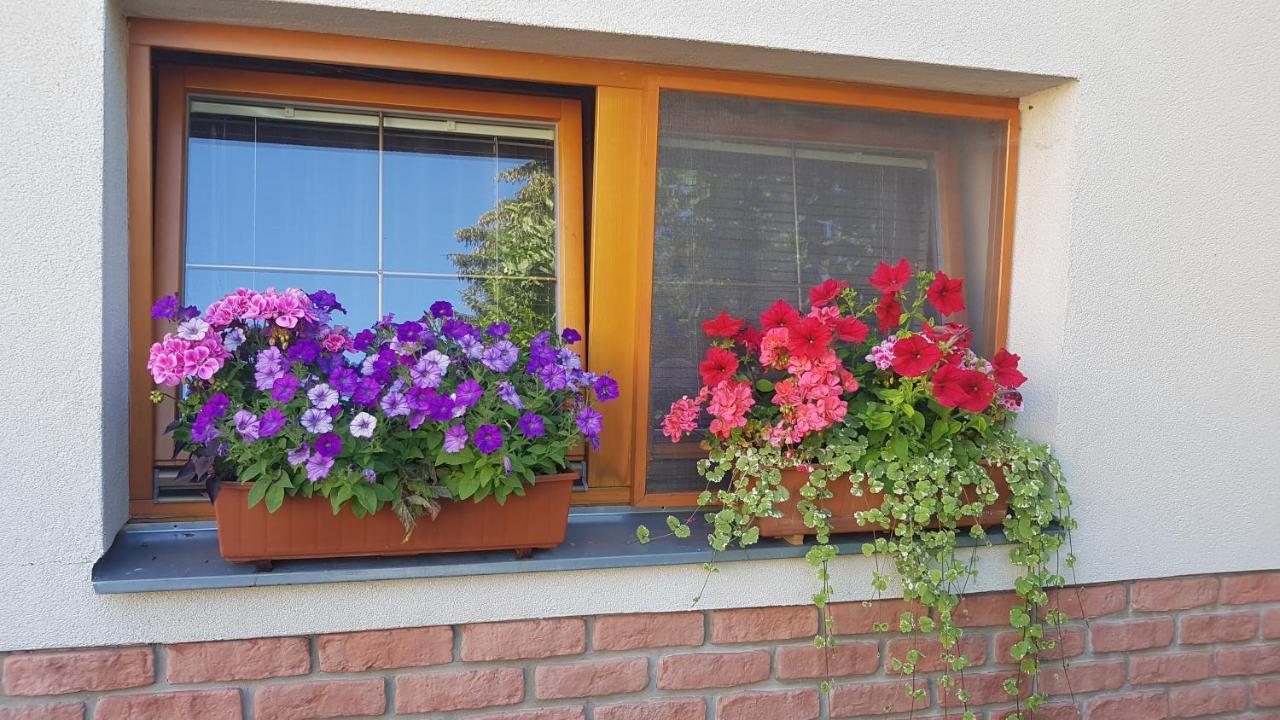 Privat Nika Zavazna Poruba Exterior foto